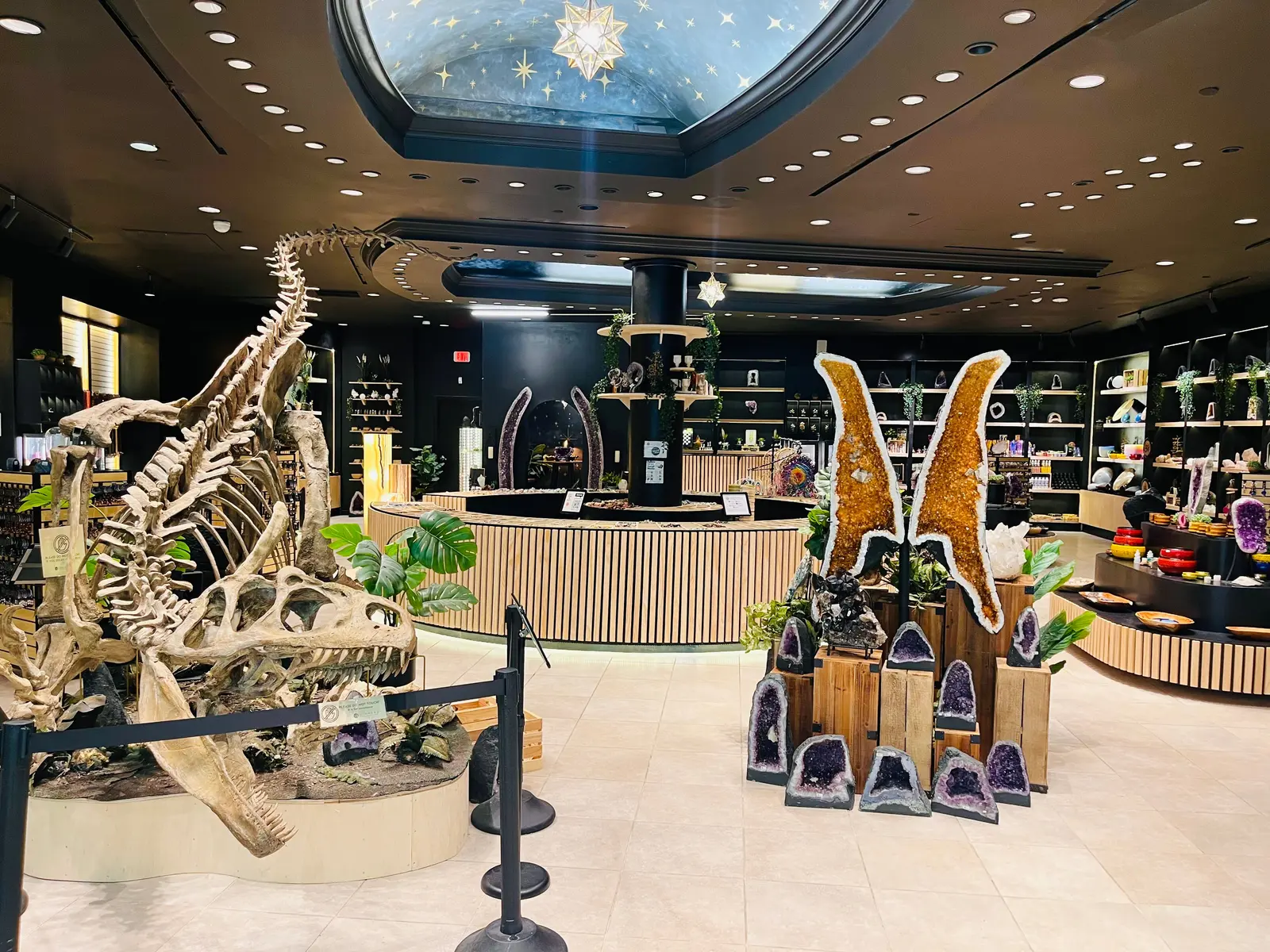 The Stoneage flagship at Mall of Georgia: a mounted dinosaur skeleton on the left, two person-height geode wings of golden crystal on the right, and a hand-painted starfield dome with a gold star lantern above the round timber counter